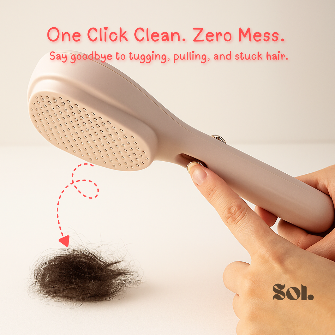 Self Cleaning Hair Brush